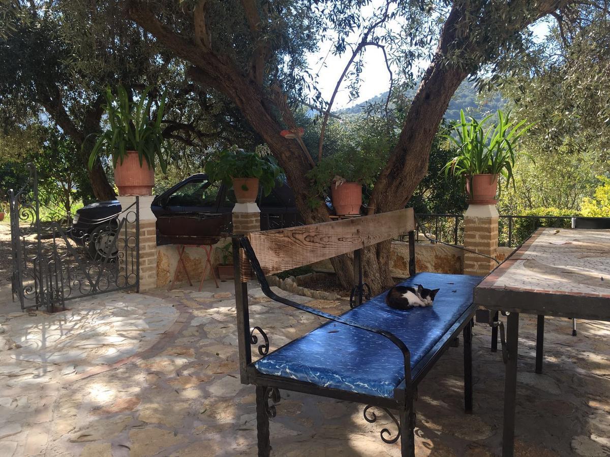 Vila Oliven Vlorë Exterior foto